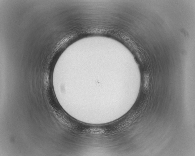 X0000115350636200912011053