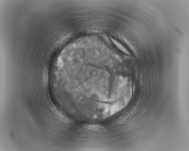 X0000115350637200912011053