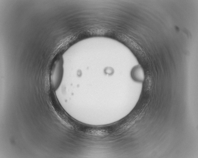 X0000115350638200912011053