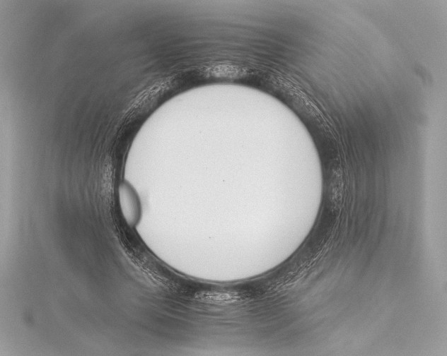 X0000115350639200912011053