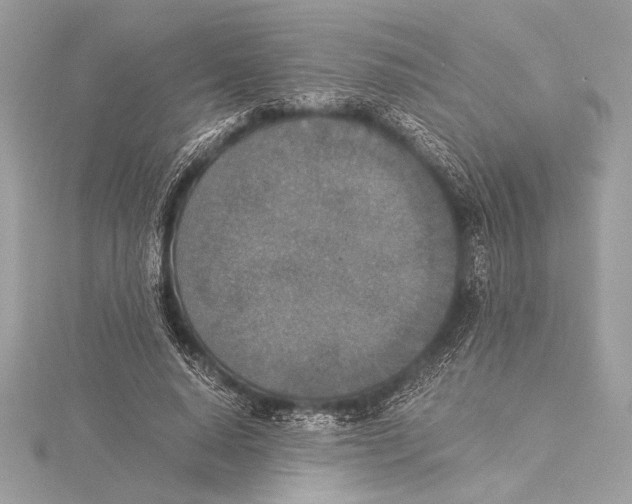 X0000115350640200912011053