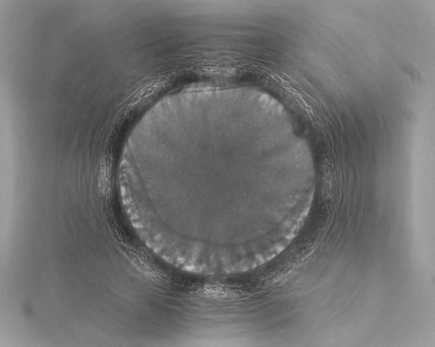 X0000115350641200912011053