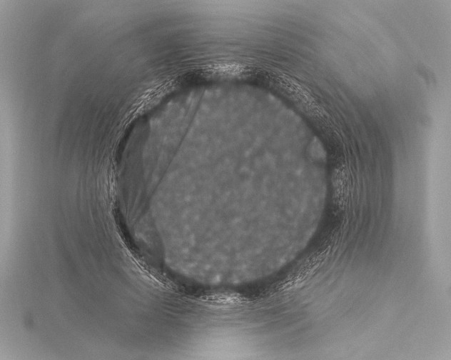 X0000115350642200912011053