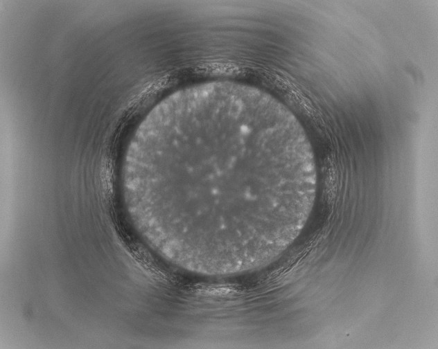 X0000115350643200912011053