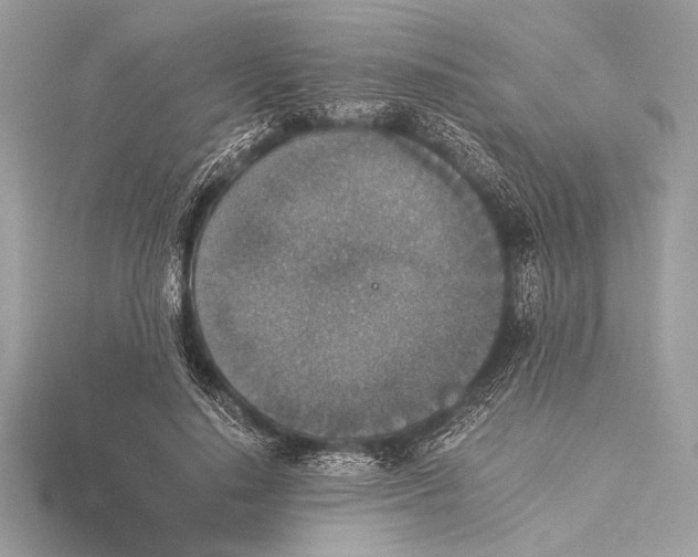 X0000115350644200912011053