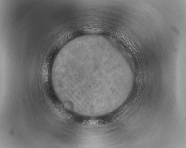 X0000115350647200912011053