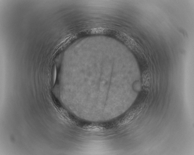 X0000115350648200912011053