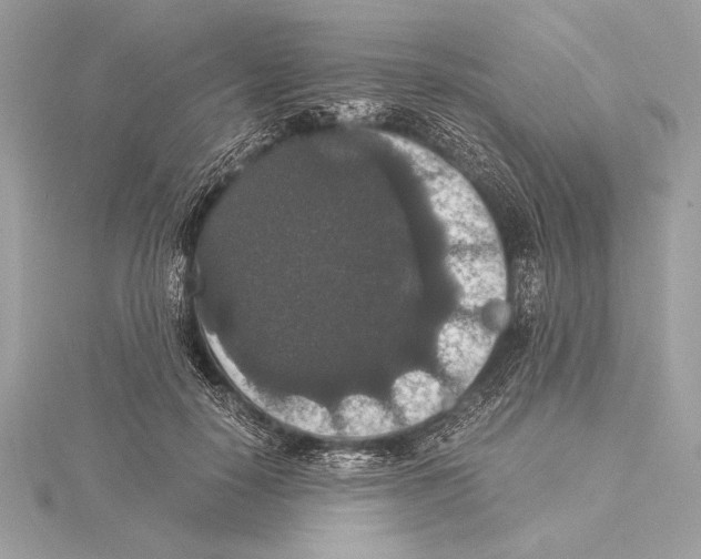 X0000115350650200912011053