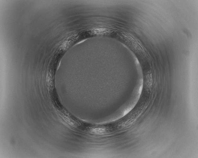 X0000115350653200912011053