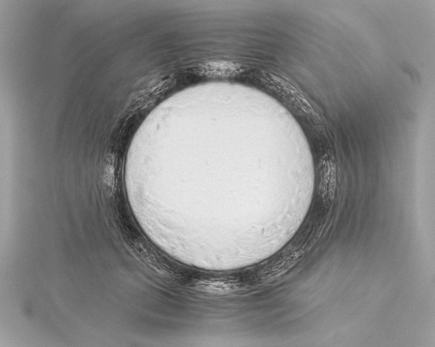 X0000115350655200912011053