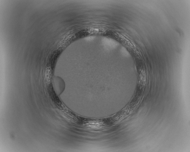 X0000115350659200912011053