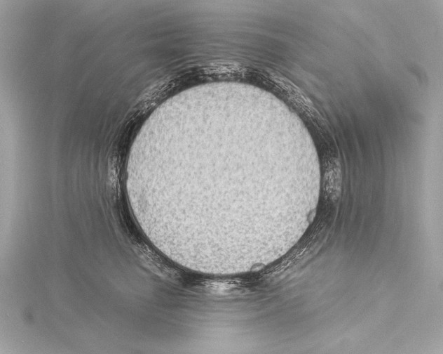 X0000115350662200912011053