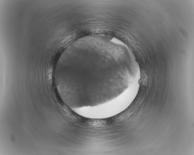 X0000115350670200912011053