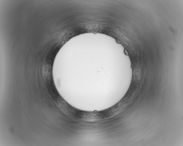 X0000115350671200912011053