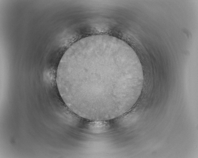 X0000115350672200912011053