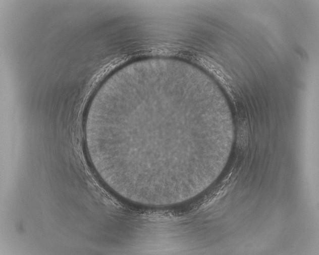 X0000115350673200912011052