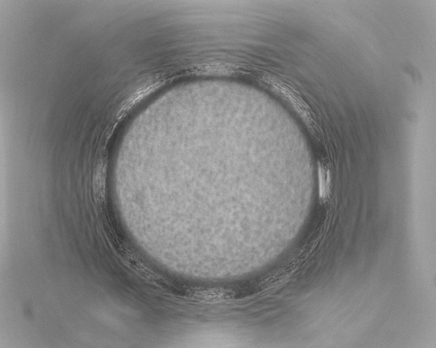 X0000115350675200912011052