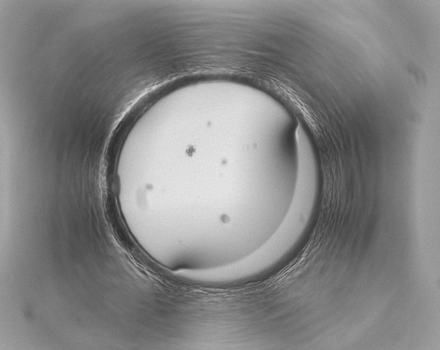 X0000115350676200912011052