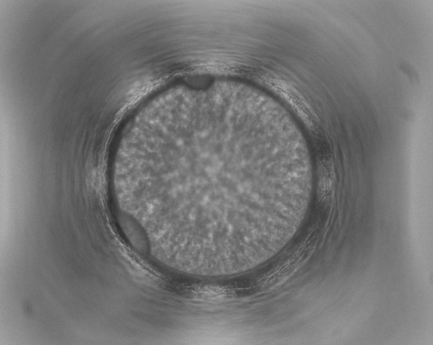 X0000115350677200912011052