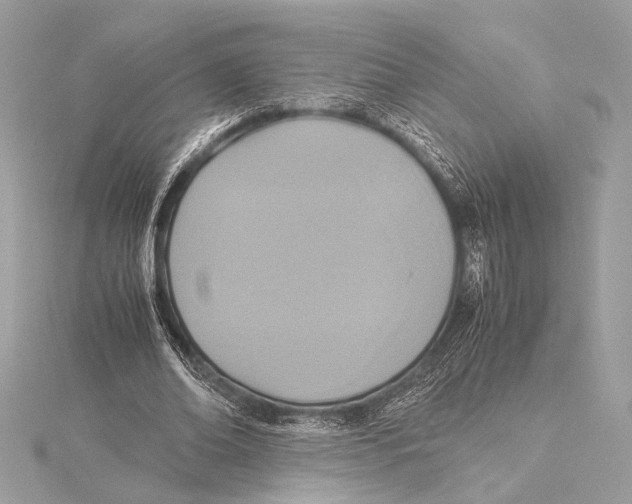 X0000115350678200912011052