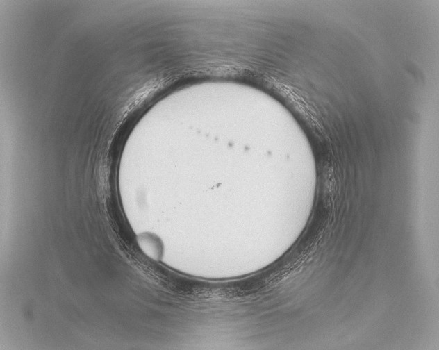 X0000115350679200912011052