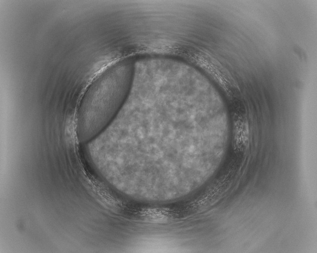 X0000115350680200912011052