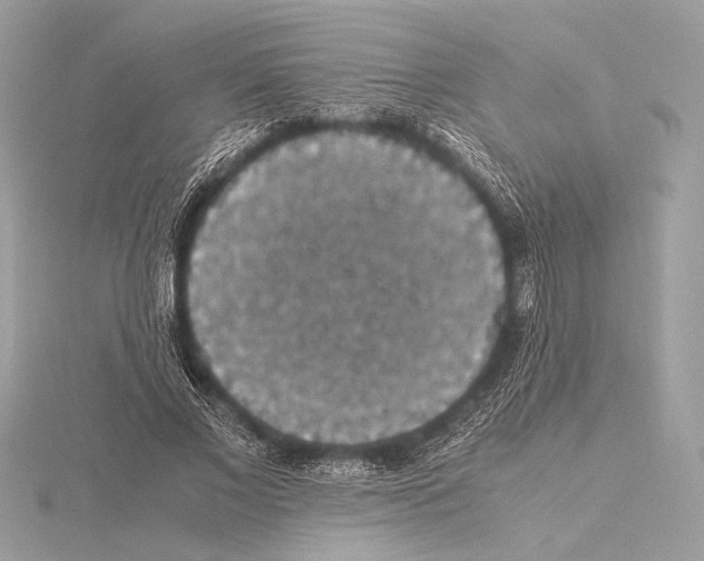 X0000115350685200912011052