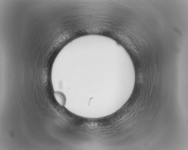 X0000115350687200912011052