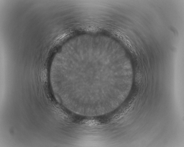 X0000115350689200912011052