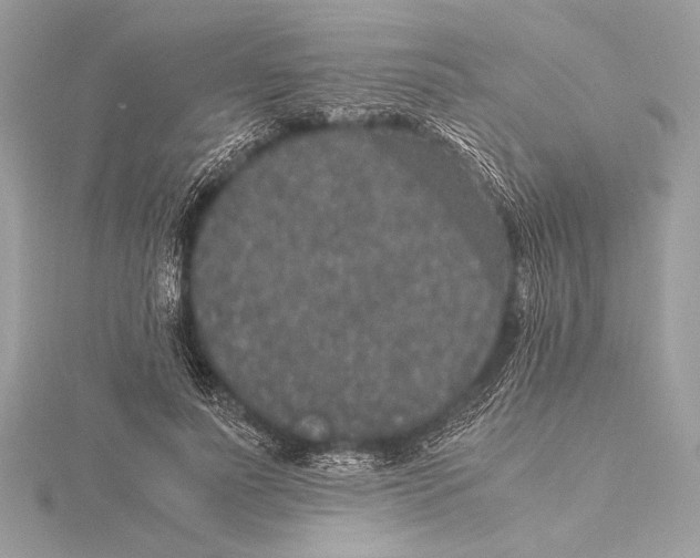 X0000115350691200912011052