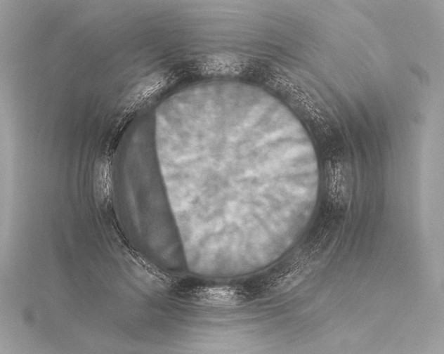 X0000115350692200912011052