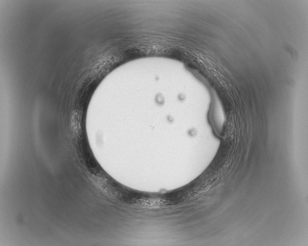 X0000115350695200912011052