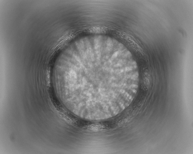 X0000115350696200912011052