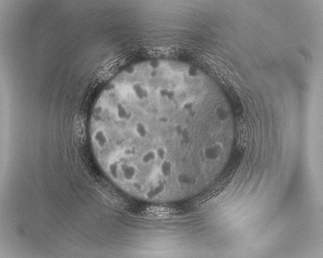 X0000115350699200912011052