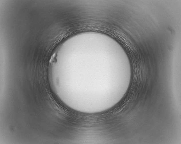 X0000115350700200912011052