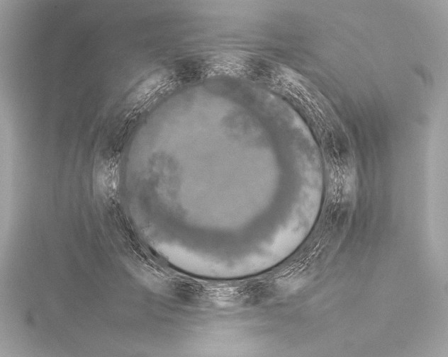 X0000115350701200912011052