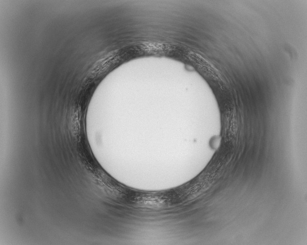 X0000115350702200912011052