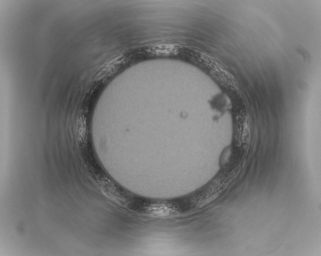 X0000115350704200912011052