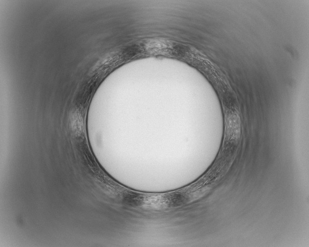 X0000115350705200912011052