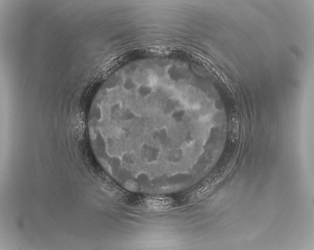 X0000115350707200912011052