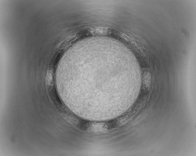 X0000115350709200912011052