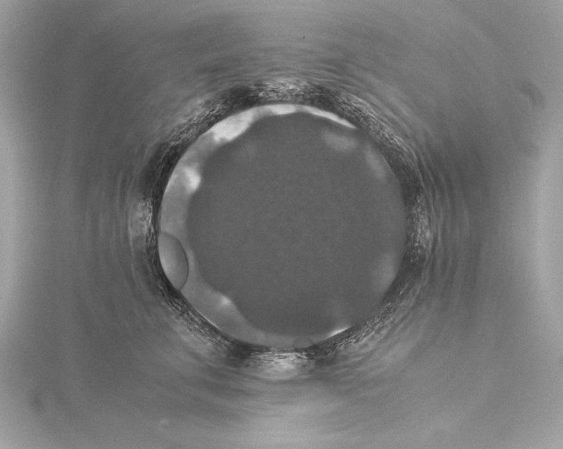 X0000115350711200912011052