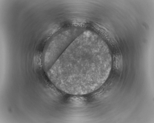 X0000115350712200912011052