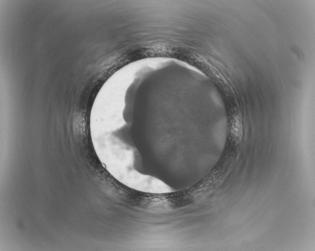 X0000115350715200912011052