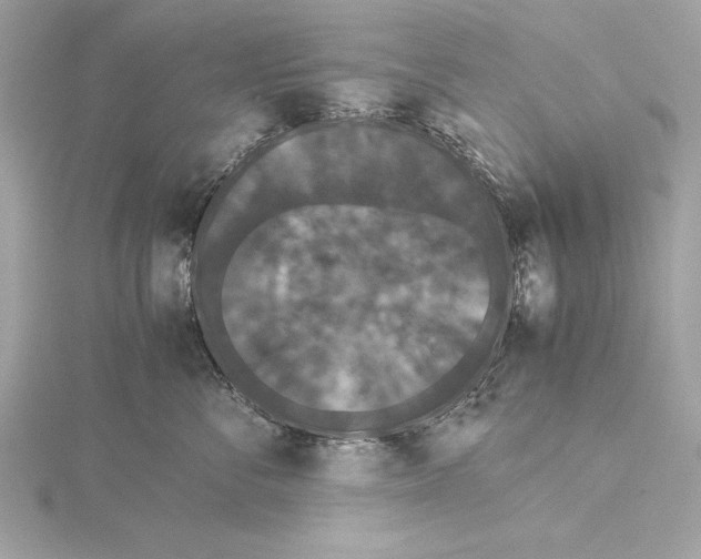 X0000115350716200912011052