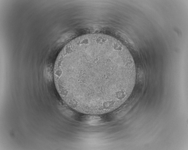 X0000115350719200912011052