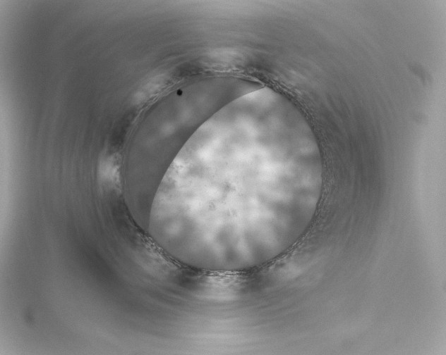 X0000115350720200912011052