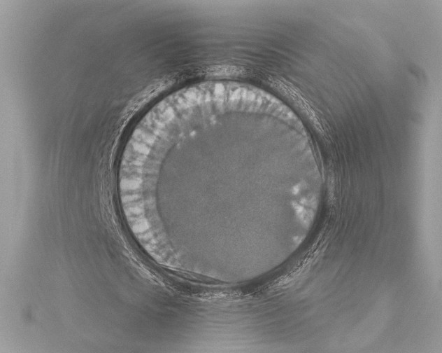 X0000115350721200912011051