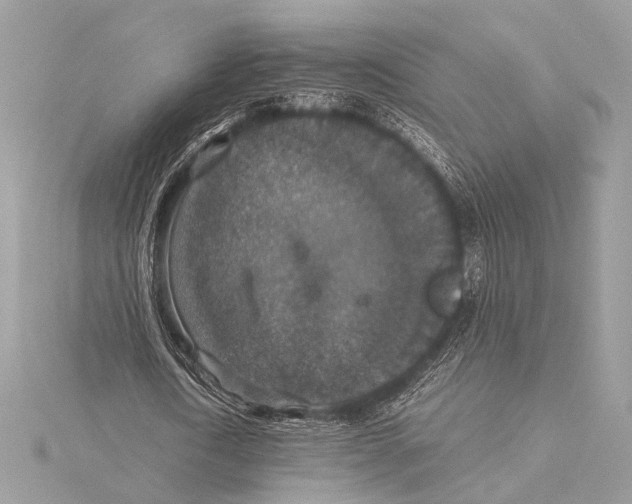 X0000115350722200912011051