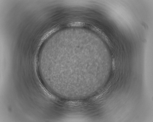 X0000115350725200912011051